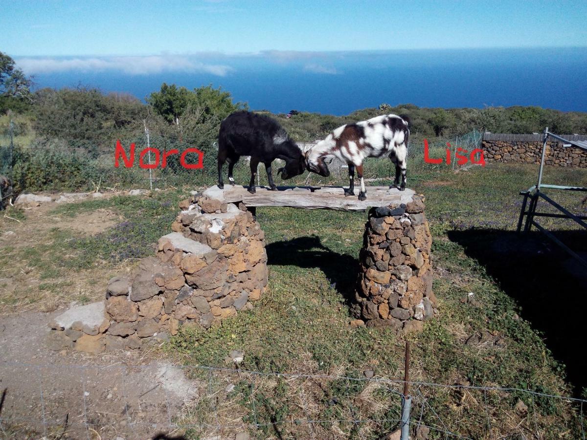 Isora Finca La Ramona מראה חיצוני תמונה